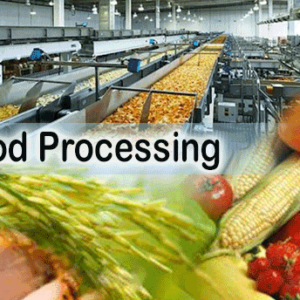 Food Manufacturing Consultancy