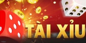 Những lưu ý vàng trong cách chọn nhà cái tài xỉu